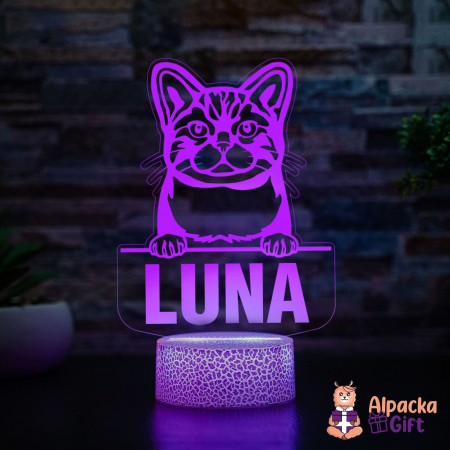 Lampă 3D Wirehair American [1]