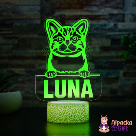 Lampă 3D Wirehair American [2]