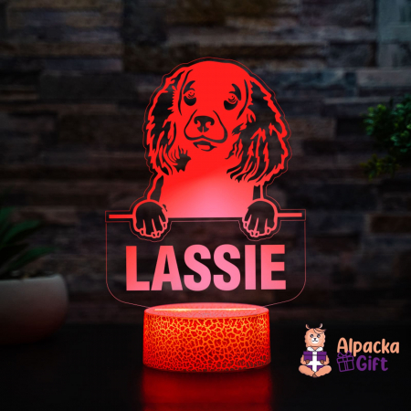 Rase de Caini - Lampă 3D - Spaniel (American Water)