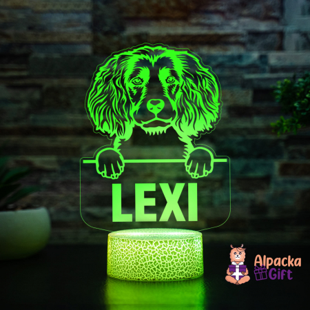 Rase de Caini - Lampă 3D - Spaniels (Boykin)