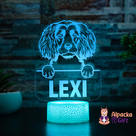 Lampă 3D - Spaniels (Boykin) [4]