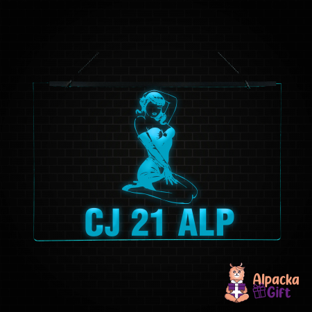 Placheta LED - Silueta2 + Nr Inmatriculare [2]