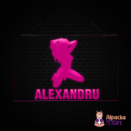 Placheta LED - Silueta4 + Nume [4]