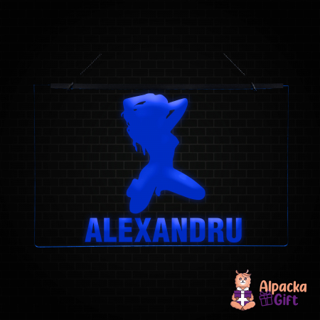 Placheta LED - Silueta4 + Nume [3]