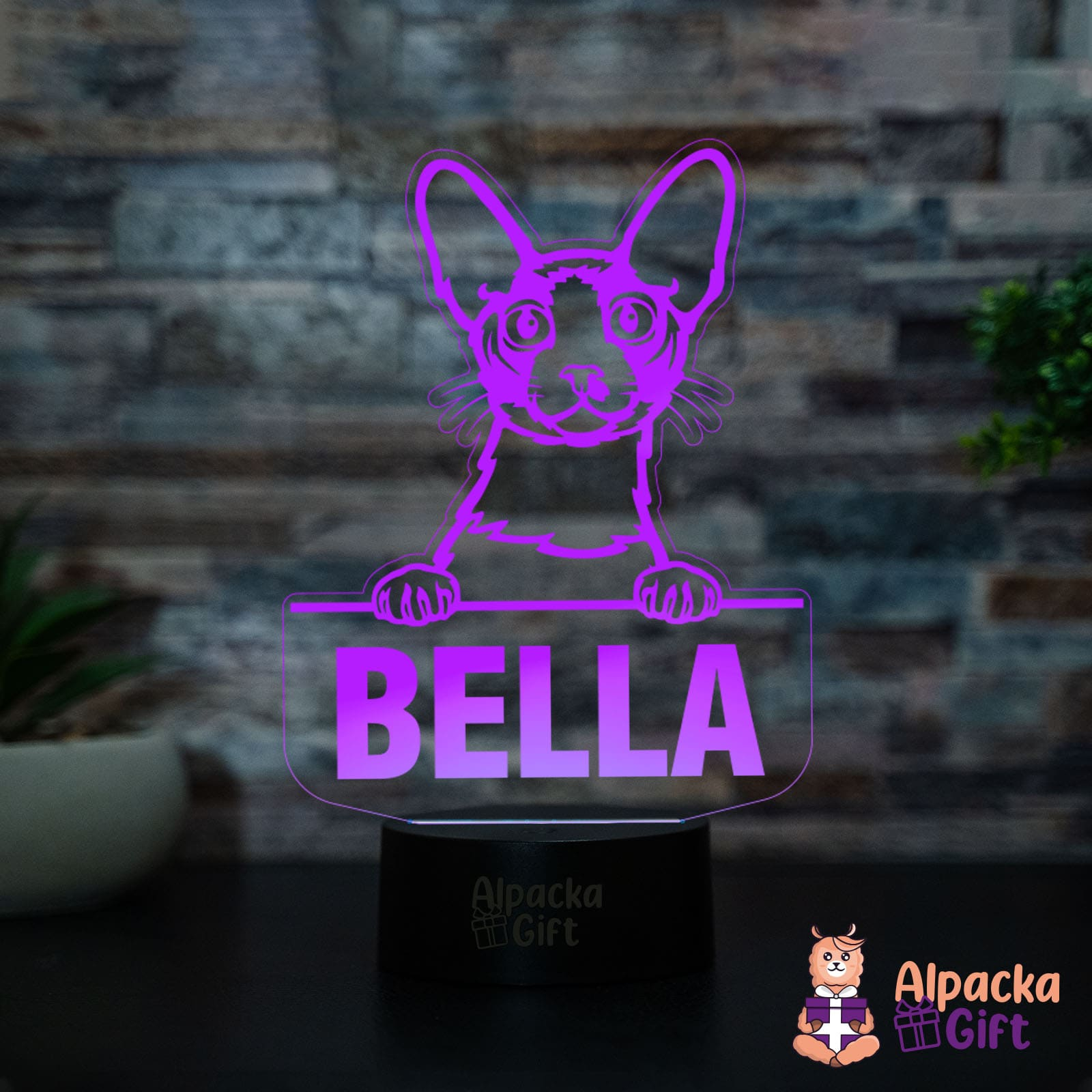 Lampă 3D Cornish Rex Negru