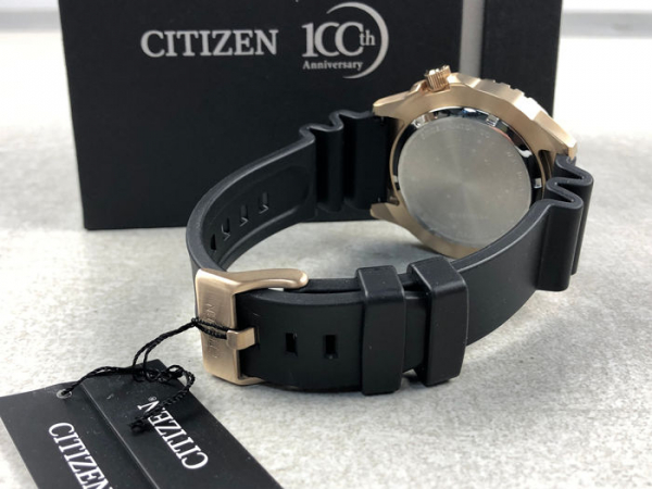 Ceas Citizen Automatic NH8383-17EE [8]