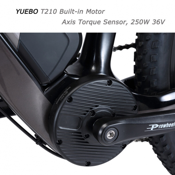 Bicicleta electrica SAVA (cadru carbon) [4]