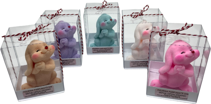 IEPURAȘ CU PUPIC [6]