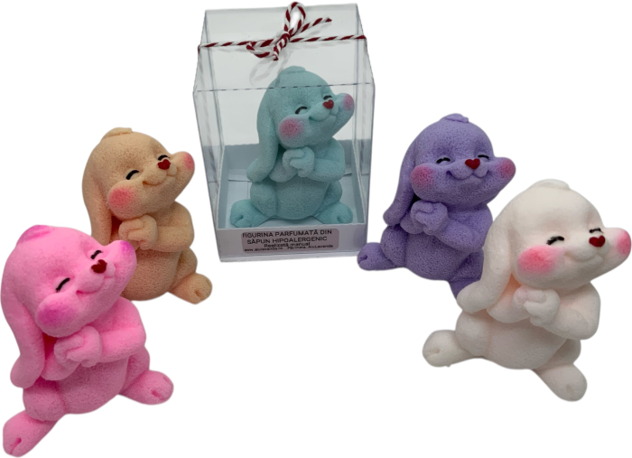 IEPURAȘ CU PUPIC [7]