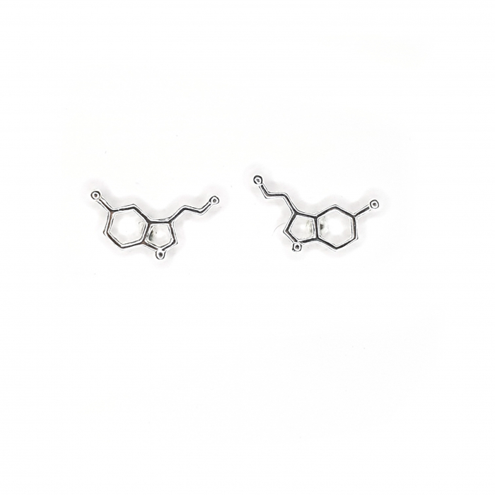 Set colier si cercei cu tija Silver Serotonina (Hormonul fericirii), argint [4]