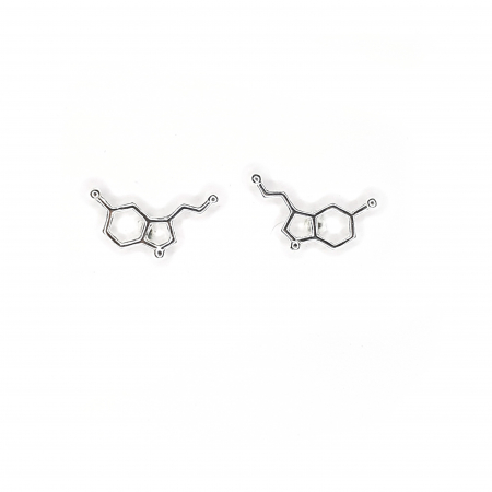 Set colier si cercei cu tija Silver Serotonina (Hormonul fericirii), argint [3]