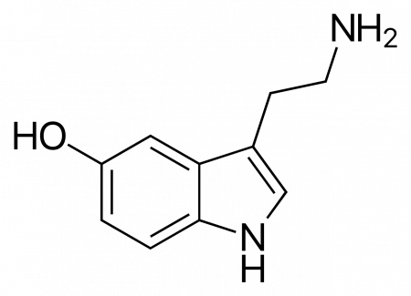 Set colier si cercei cu tija Silver Serotonina (Hormonul fericirii), argint [8]