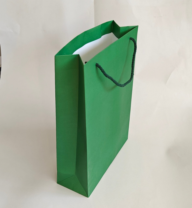 Pungi hartie tiparite premium, VERDE DESCHIS, cu maner snur textil [2]
