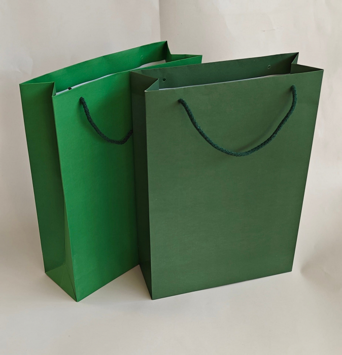 Pungi hartie tiparite premium, VERDE DESCHIS, cu maner snur textil [3]