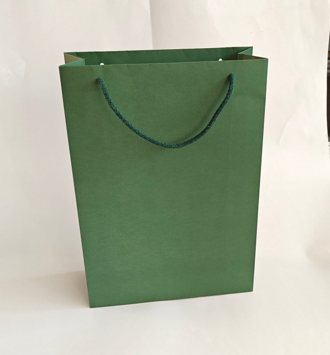 Pungi hartie tiparite premium, VERDE INCHIS, cu maner snur textil [2]
