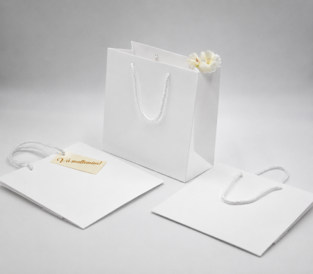 Pungi ALBE premium - Pungi carton  KRAFT premium, ALBE, netiparita,cu maner snur textil