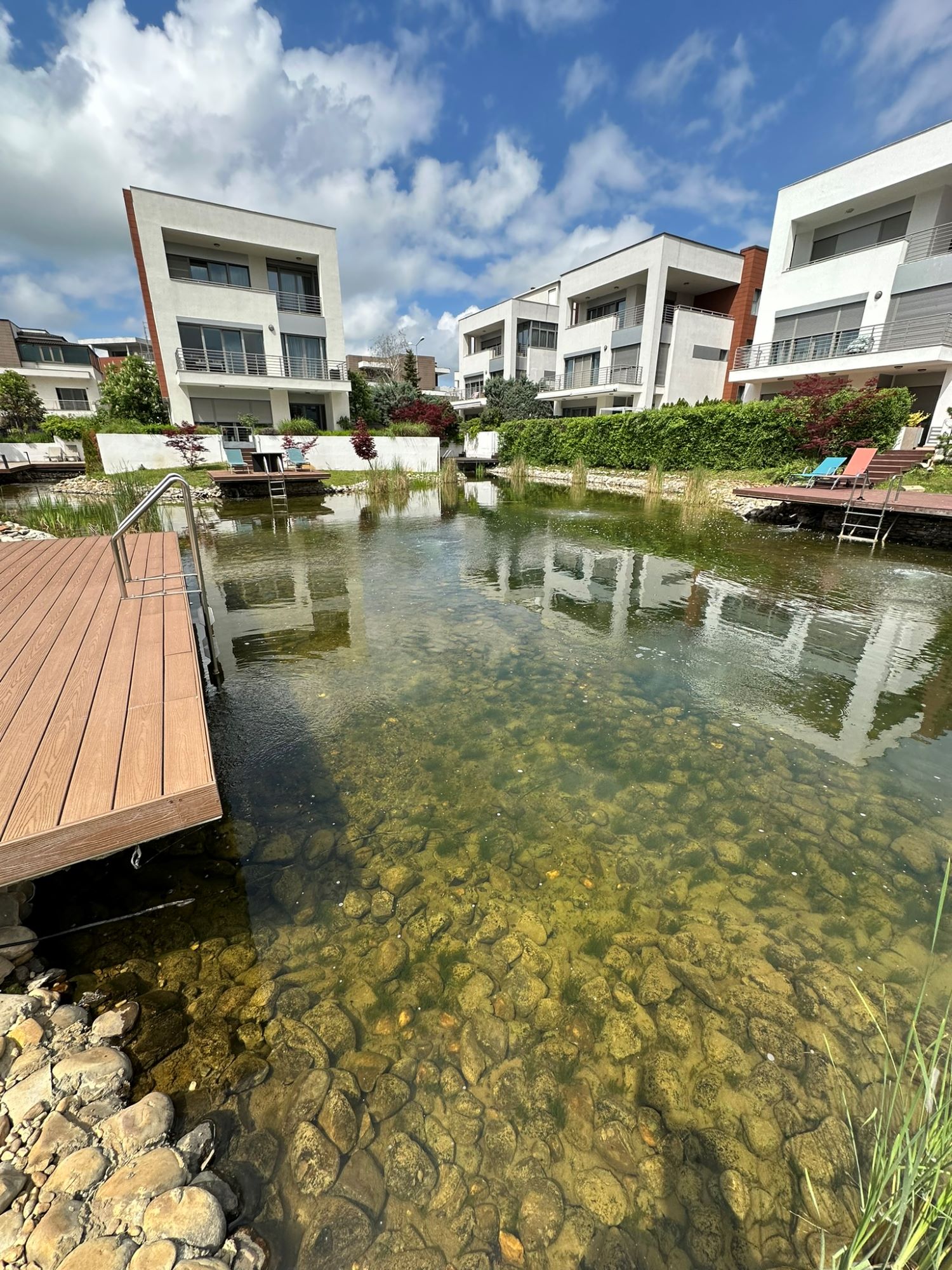Swimpond rezidențial – ecosistem funcțional de peste 12 ani