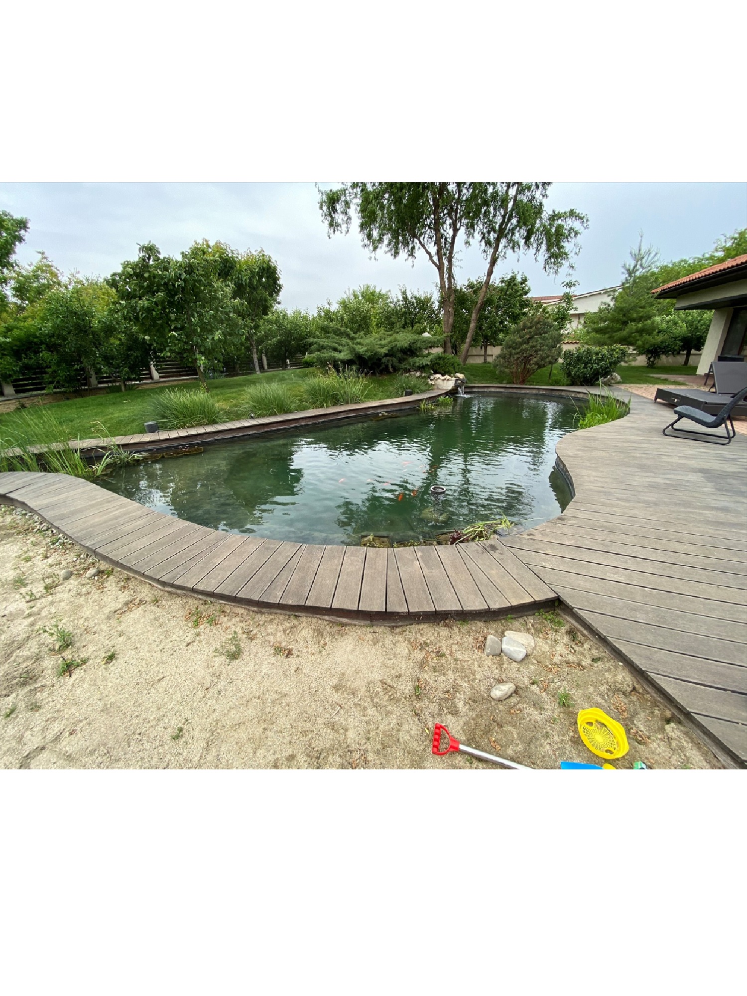 Swimpond privat – grădină rezidențială