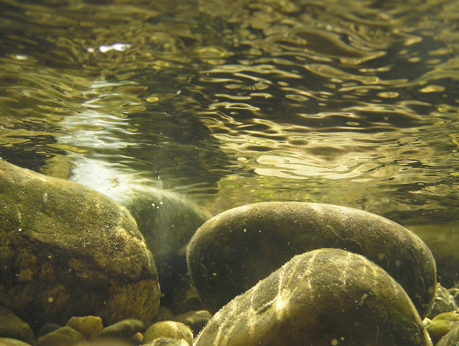 Eficiență fără compromisuri: produsele noastre.