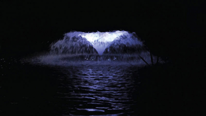 Aerator plutitor AirFlo 1.5 kW Oase [6]