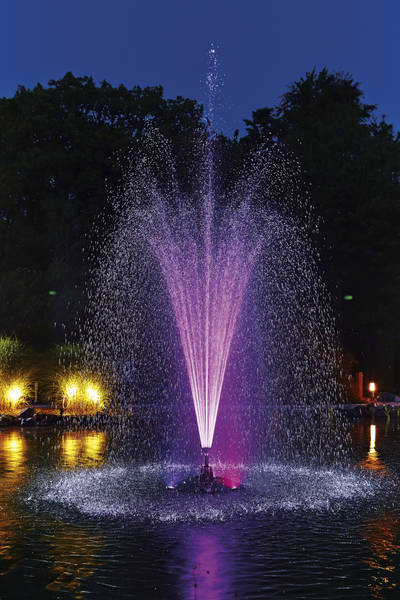 Floating fountain illumination set RGB - Kit 3 spoturi RGB pentru fantani plutitoare Oase [12]