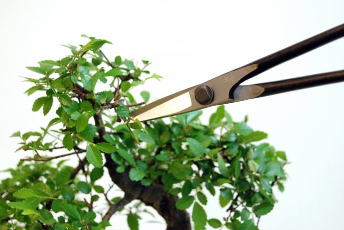 Foarfeca profesionala Okatsune 206 pentru bonsai [2]