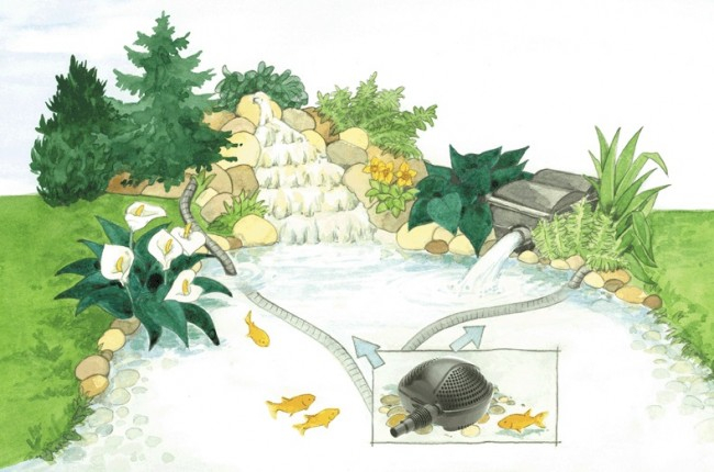 Pompa Iaz Pondomax Eco [2]