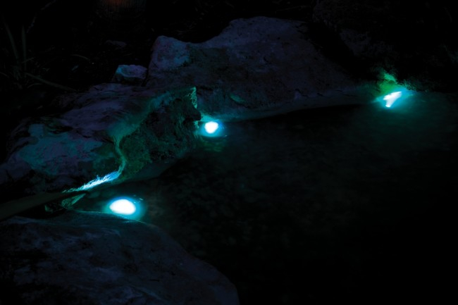 Pondostar LED RGBW 3 [2]