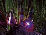 ProfiLux Garden LED RGB [5]