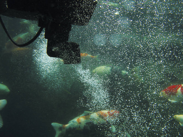 Skimmer plutitor SwimSkim 50 [10]