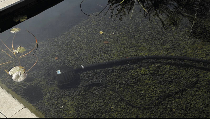 Tratament PondClear [3]