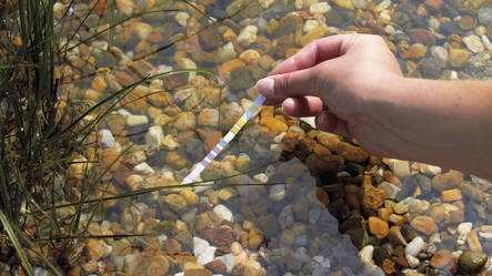 Test de apa - QuickStick 6 in 1 [7]