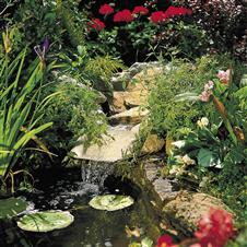 Clarificator Iaz Vorton [1]