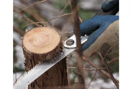 Fierastrau lemn verde Gomboy lama 240 mm, dinti medii [3]