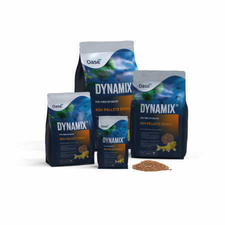 Hrana Pesti - Dynamix KOI Large [3]