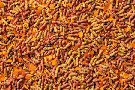 Hrana Pesti - Dynamix Mix plus snack [3]