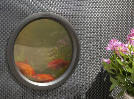 Aquarium - acvariu de exterior [3]