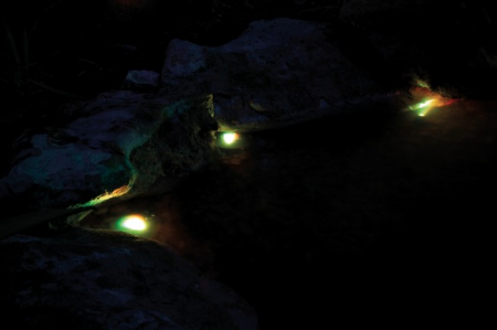 Pondostar LED RGBW 3 [7]