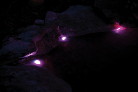 Pondostar LED RGBW 3 [5]