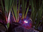 ProfiLux Garden LED RGB [4]