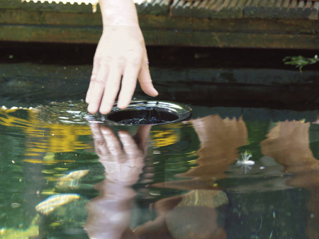 Skimmer AquaSkim 40 [7]