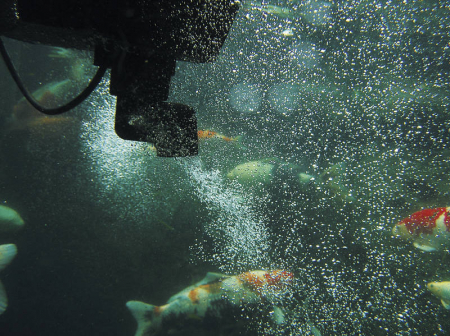 Skimmer plutitor SwimSkim 50 [9]