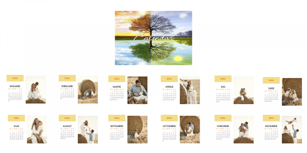 Calendar Birou [2]