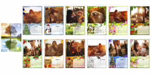 Calendar Perete Seasons  [1]