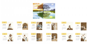 Calendar Birou [1]