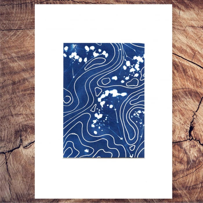 Cyanotype art, Top view of the soul [2]