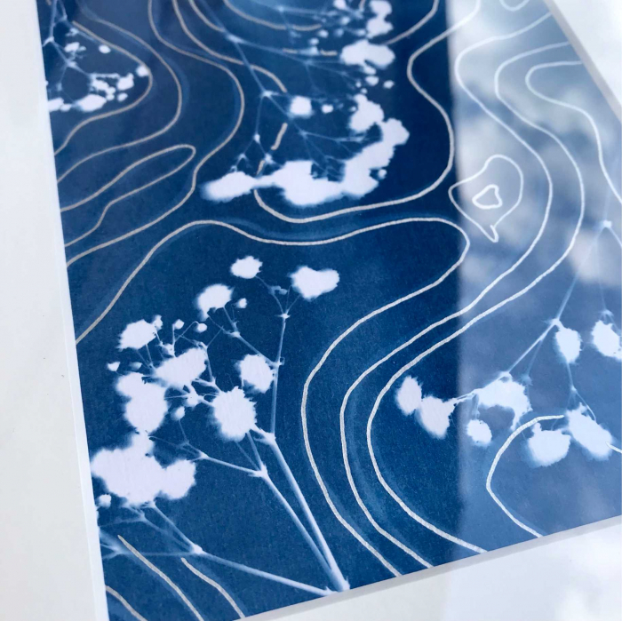 Cyanotype art, Top view of the soul [4]
