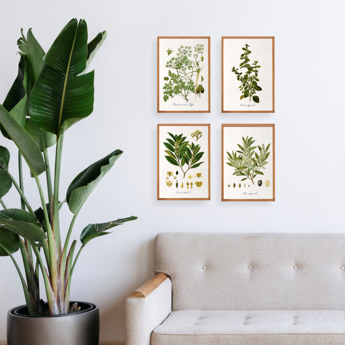 desen botanic vintage [3]