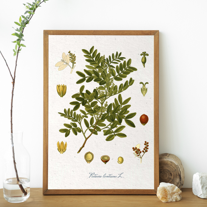 desen botanic vintage [2]