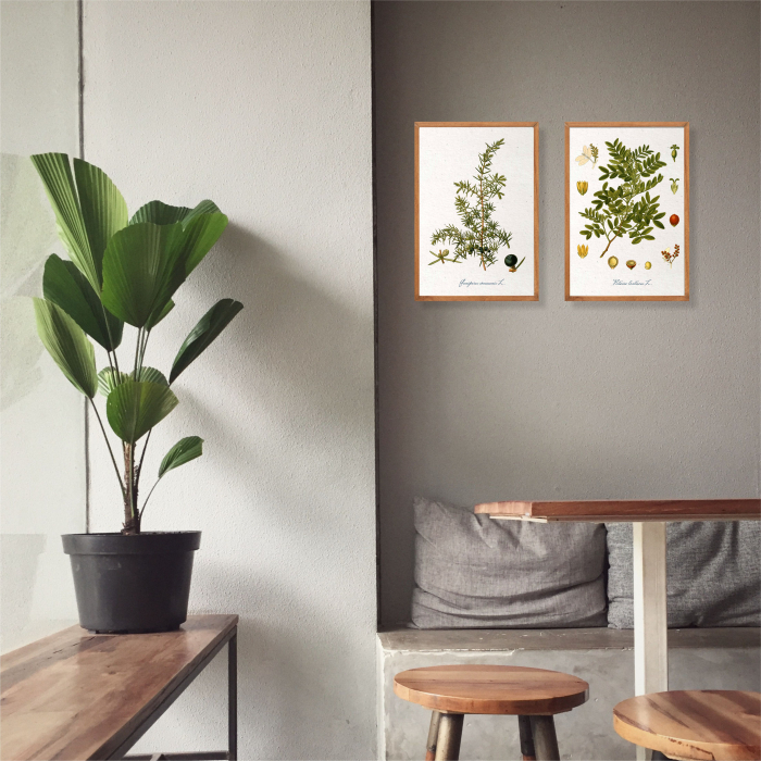 desen botanic vintage [3]